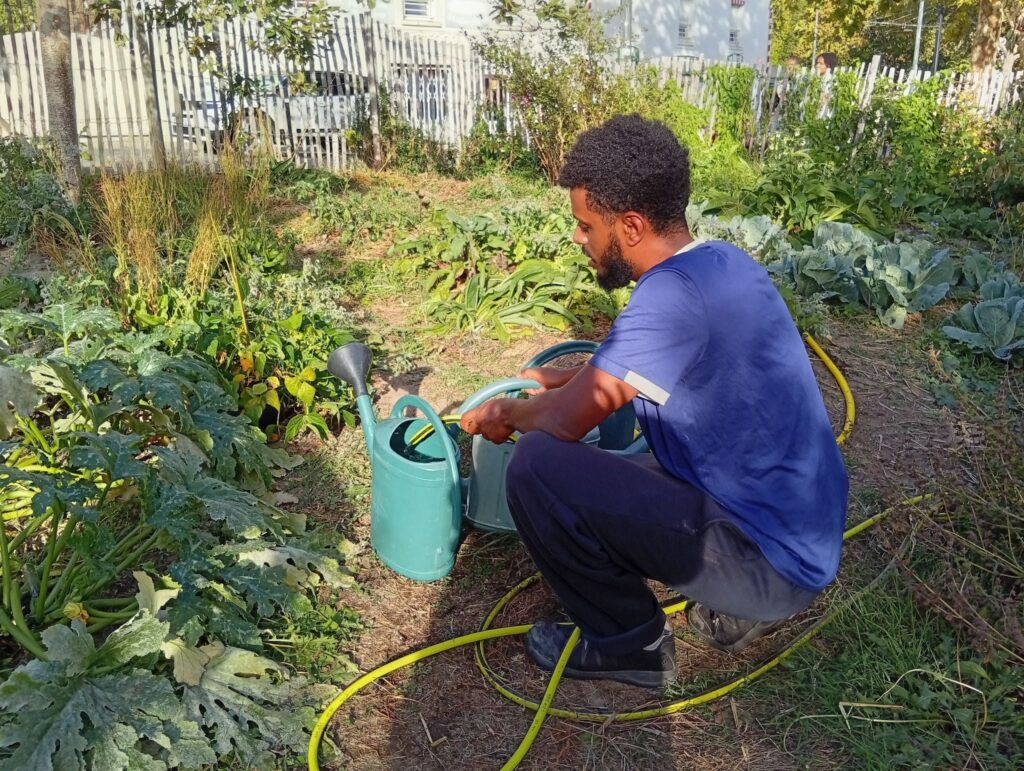A 20h pétantes, Abdel arrose le jardin Frecsh’eure, plus si frais sous 30°C en plein mois de septembre.